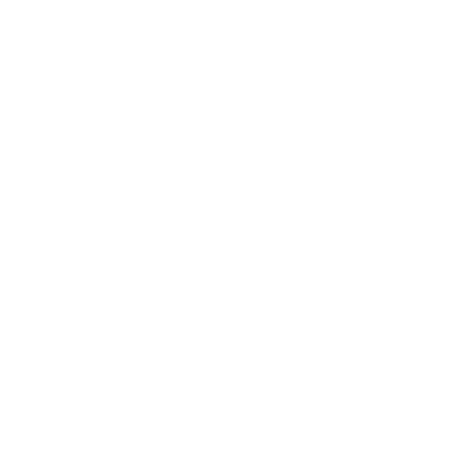 Meridian Advisory Group